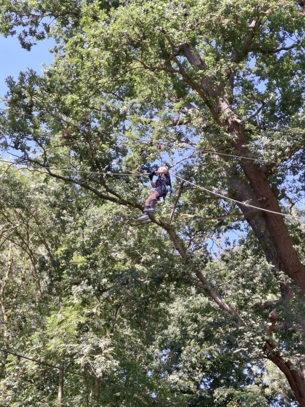Go Ape Chelmsford