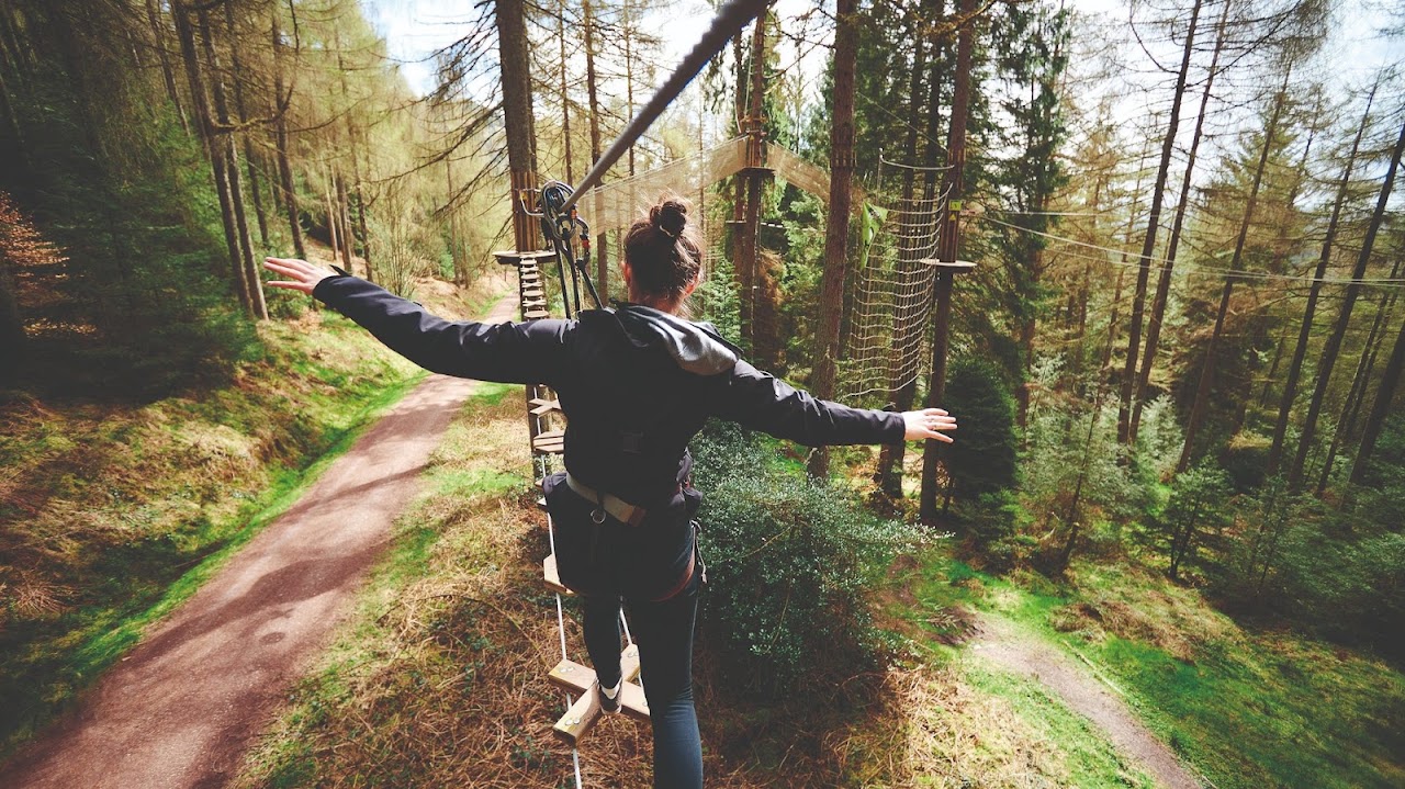 Go Ape Chessington