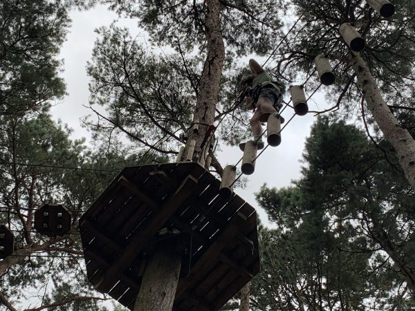 Go Ape Coventry