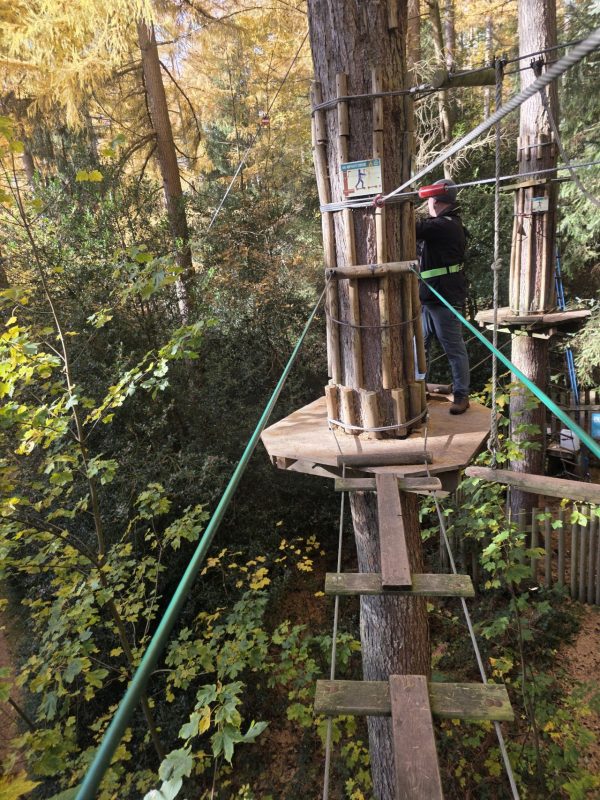Go Ape Dalby