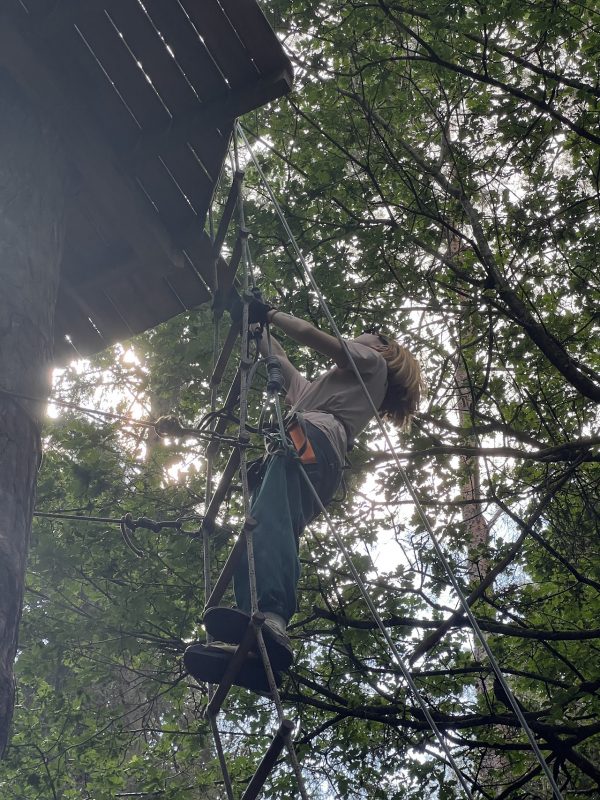 Go Ape Forest of Dean