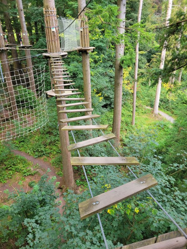 Go Ape Grizedale
