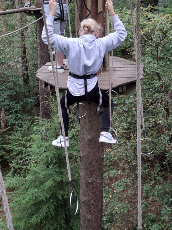 Go Ape Haldon