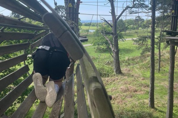 Go Ape Margam
