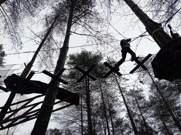 Go Ape Moors Valley