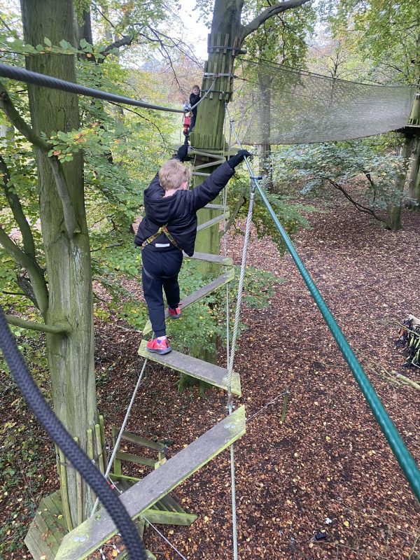 Go Ape Normanby Hall