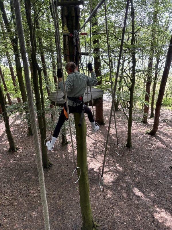 Go Ape Rivington