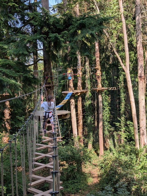 Go Ape Southampton