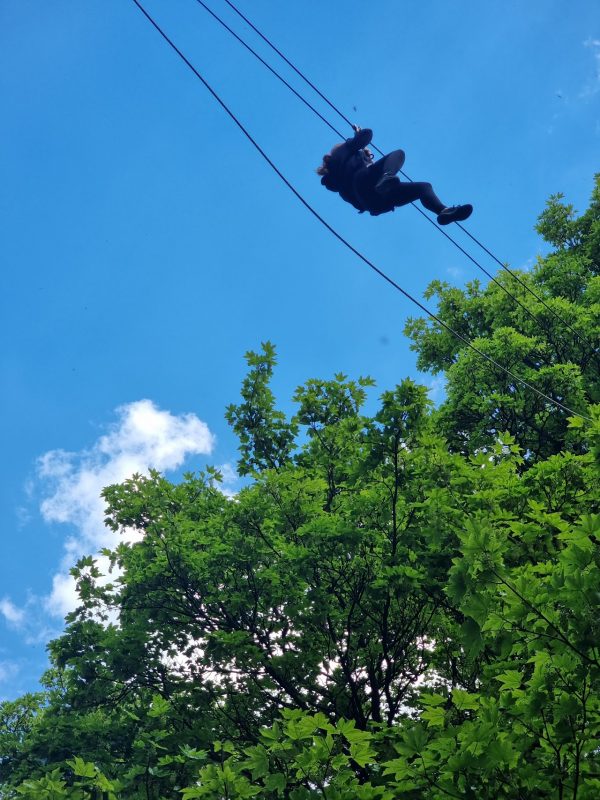 Go Ape Temple Newsam
