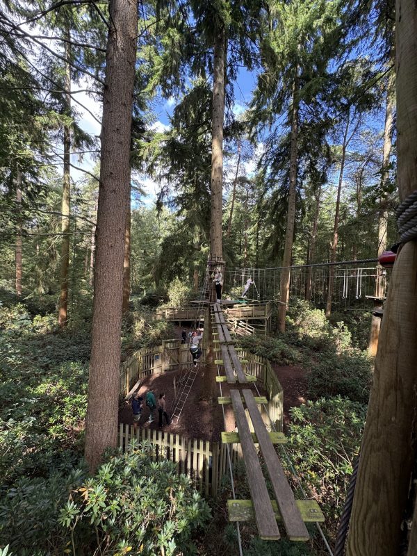 Go Ape Thetford