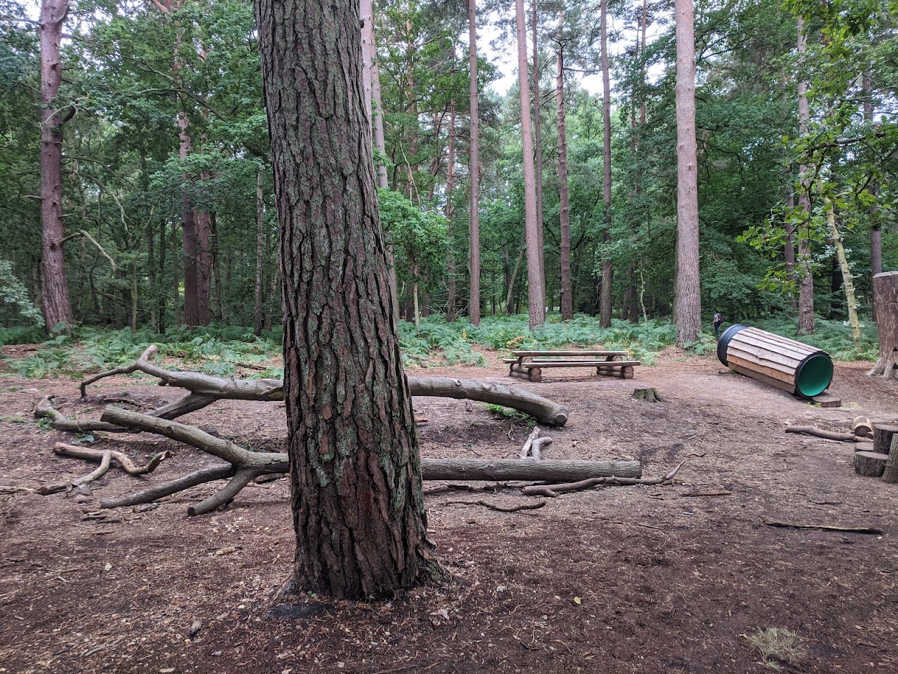 Godalming Spy Mission Treasure Trail
