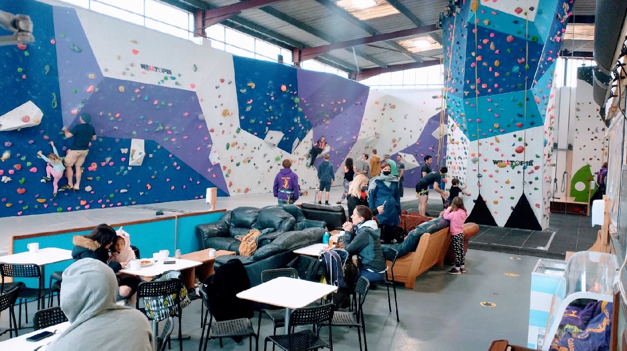 Golden Gecko Climbing