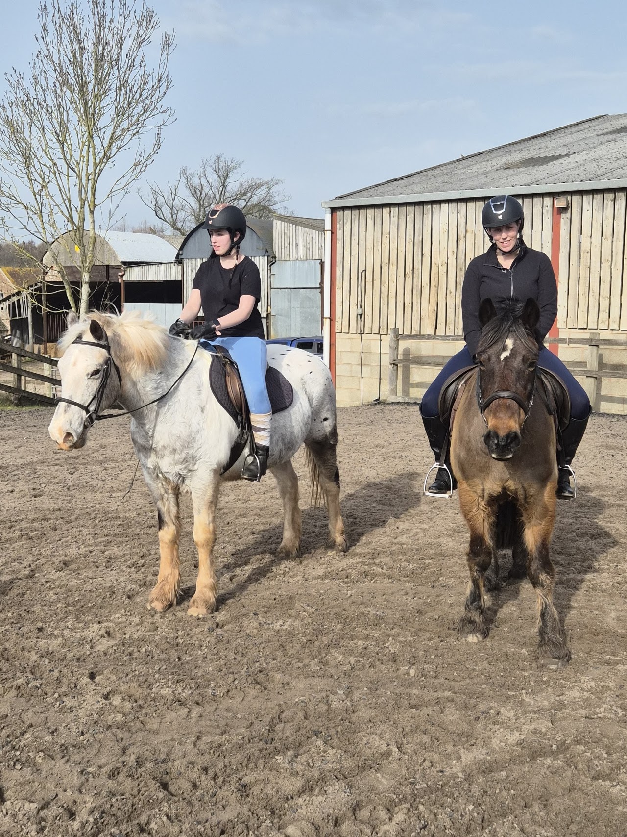 Grafton Farm Riding Centre