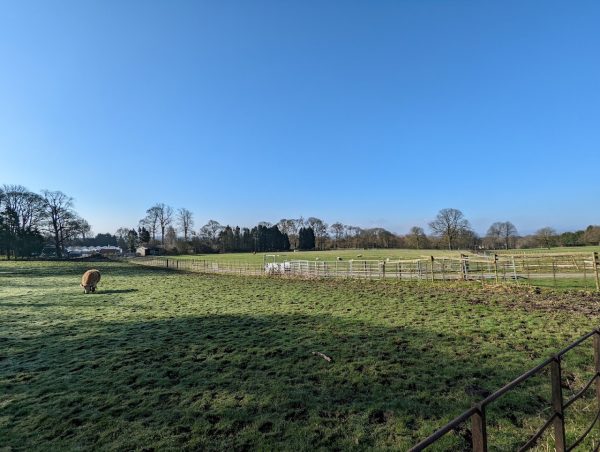Graves Park