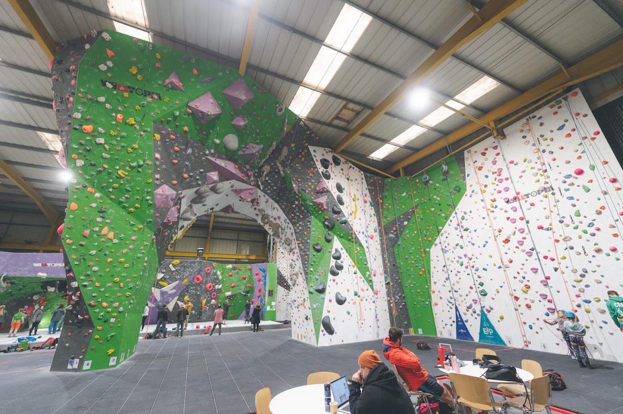 Green Spider Climbing
