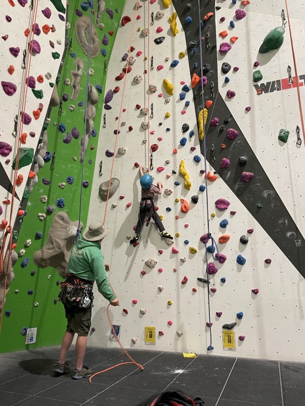 Green Spider Climbing