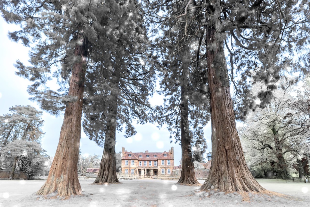 Groombridge Enchanted Forest