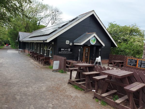 Guisborough Forest and Walkways