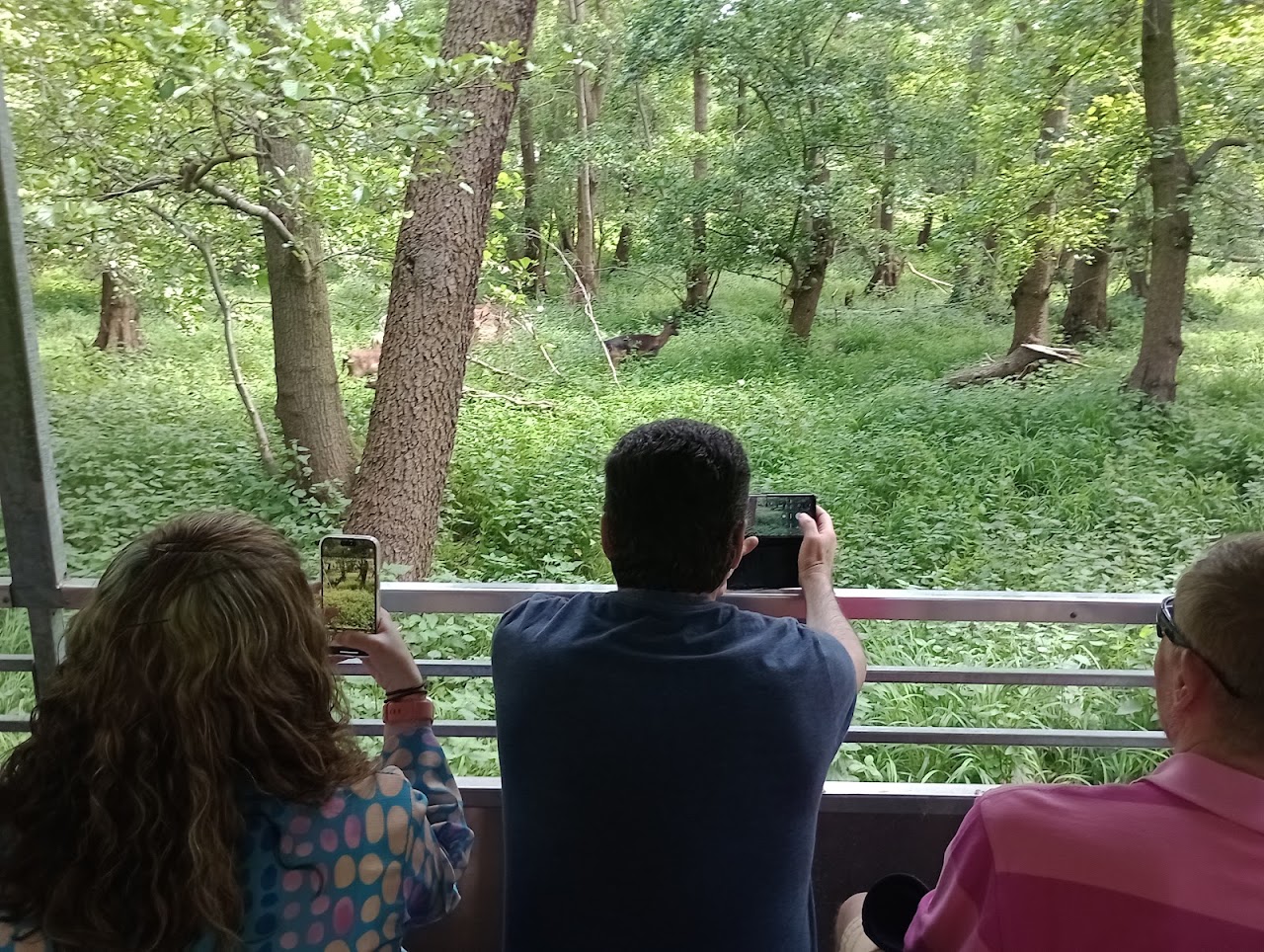 Gunpowder Mills