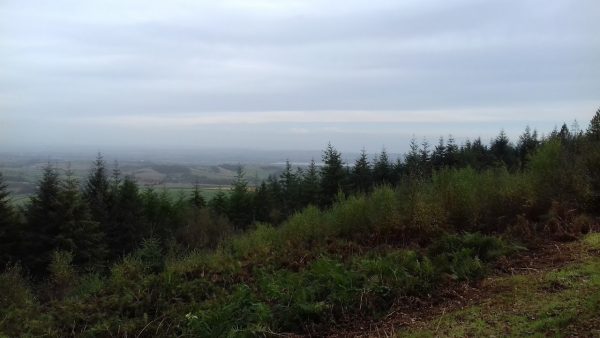 Haldon Forest Park