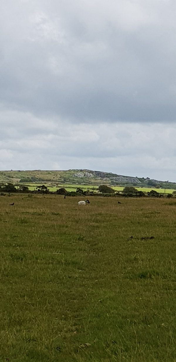 Hallagenna Farm park and horse riding