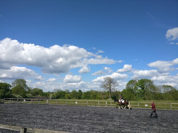 Hallingbury Hall Equestrian Centre