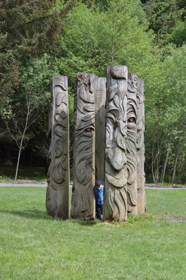 Hamsterley Forest