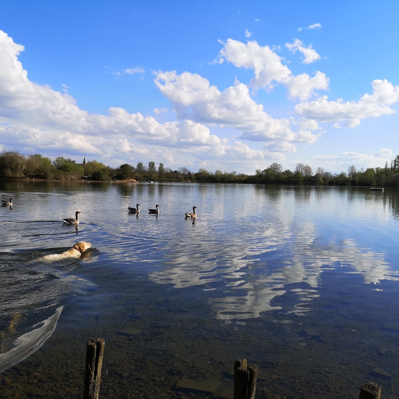 Harrold Odell Country Park
