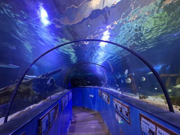 Hastings Aquarium