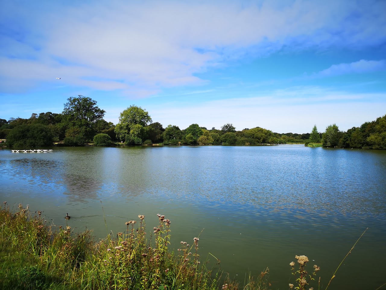 Hatfield Forest
