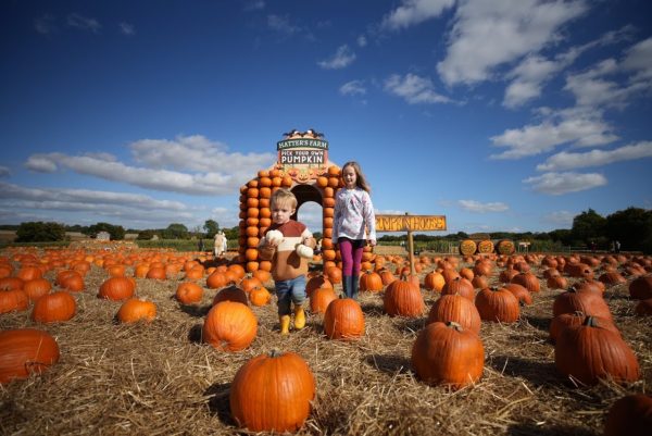 Hatters Farm Pumpkin Patch