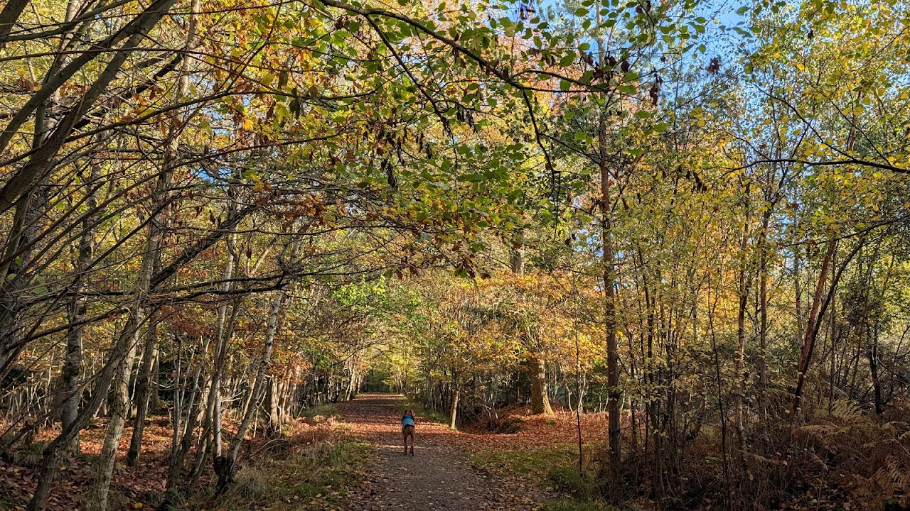 Haugh Woods Butterfly Trails
