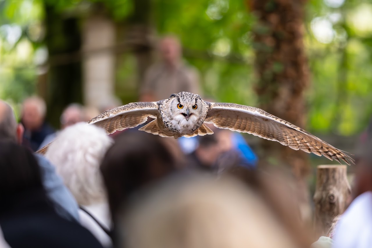 Hawk Conservancy Trust
