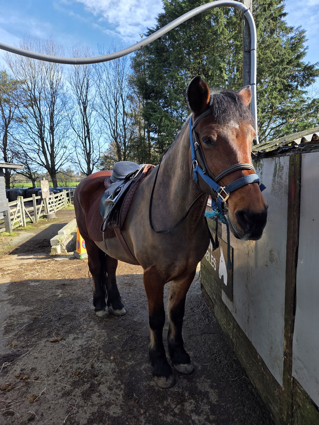 Hayfield Equestrian Centre