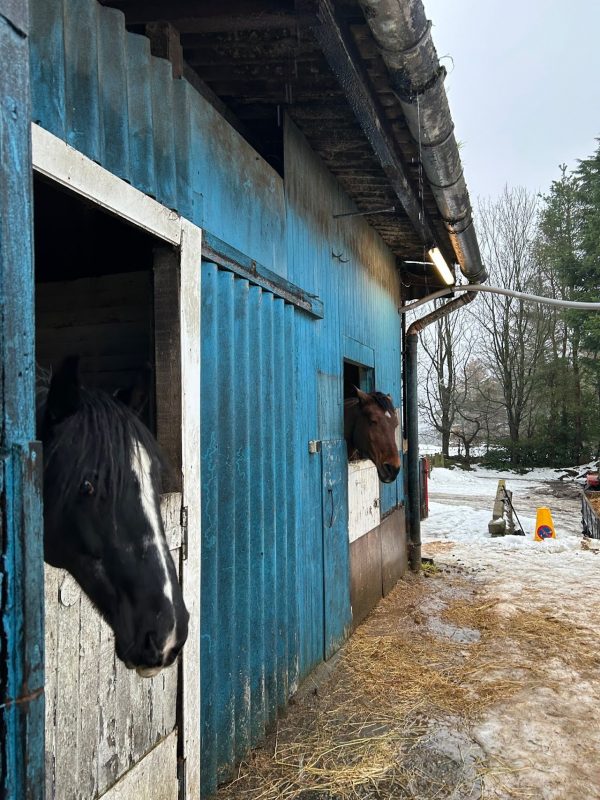 Hayfield Equestrian Centre