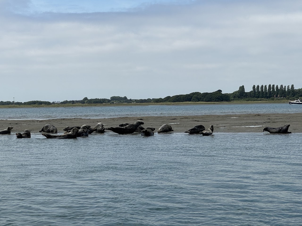hayling boat trips
