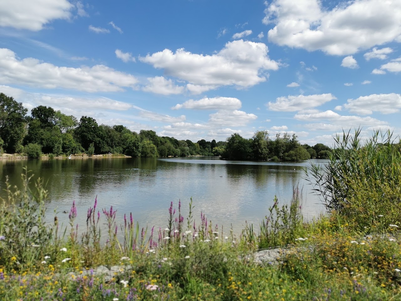 Haysden Country Park