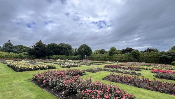 Hazlehead Park