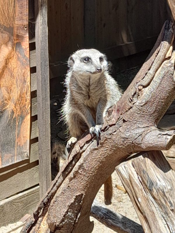 Hemsley Conservation Centre