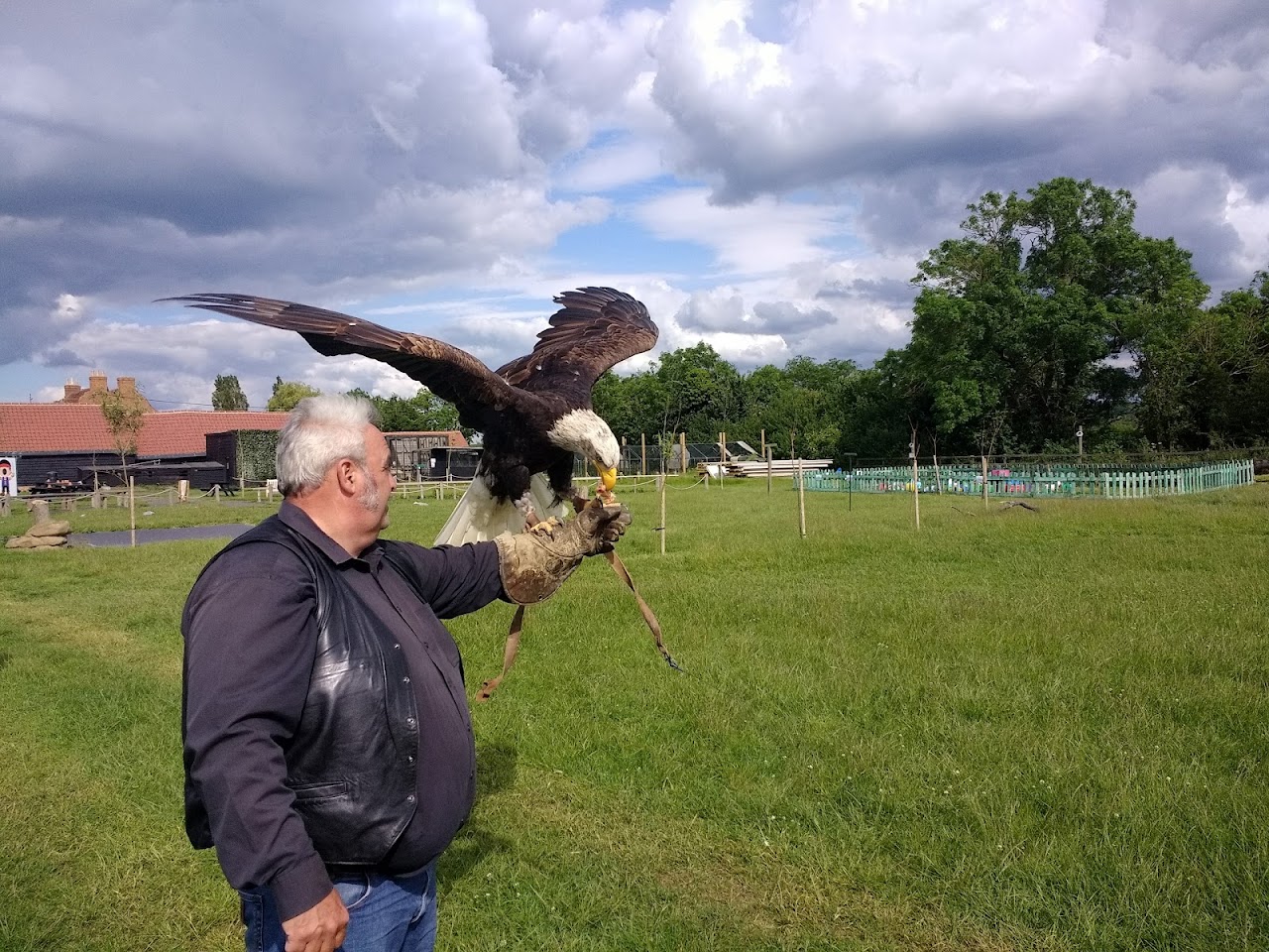 Herrings Green Activity Farm & Birds of Prey Centre