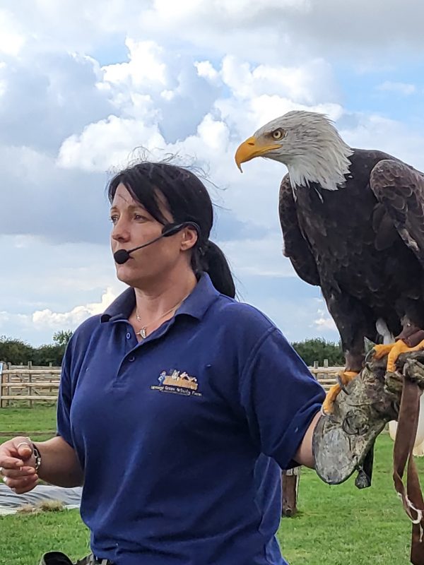 Herrings Green Activity Farm & Birds of Prey Centre