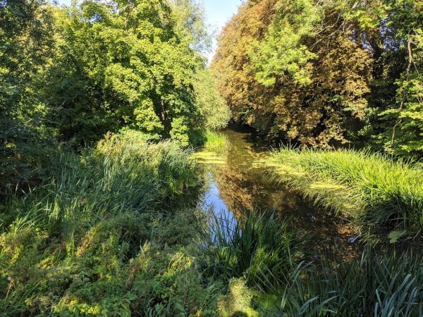 Hinchingbrooke Country Park