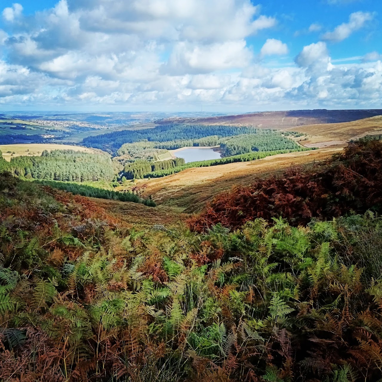 Holmfirth Mystery Treasure Trail