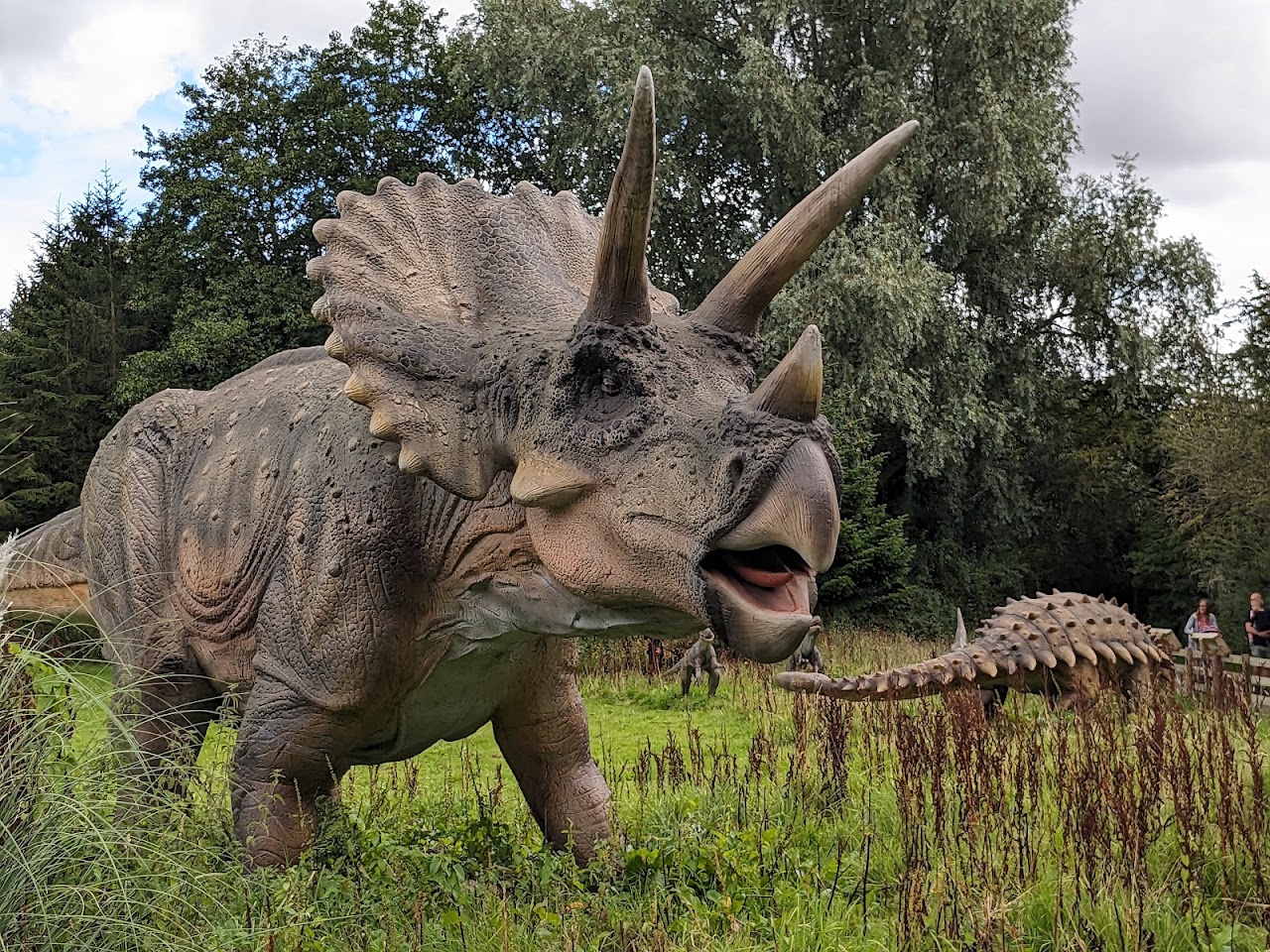 Hoo Zoo and Dinosaur World