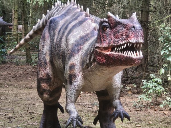 Hoo Zoo and Dinosaur World