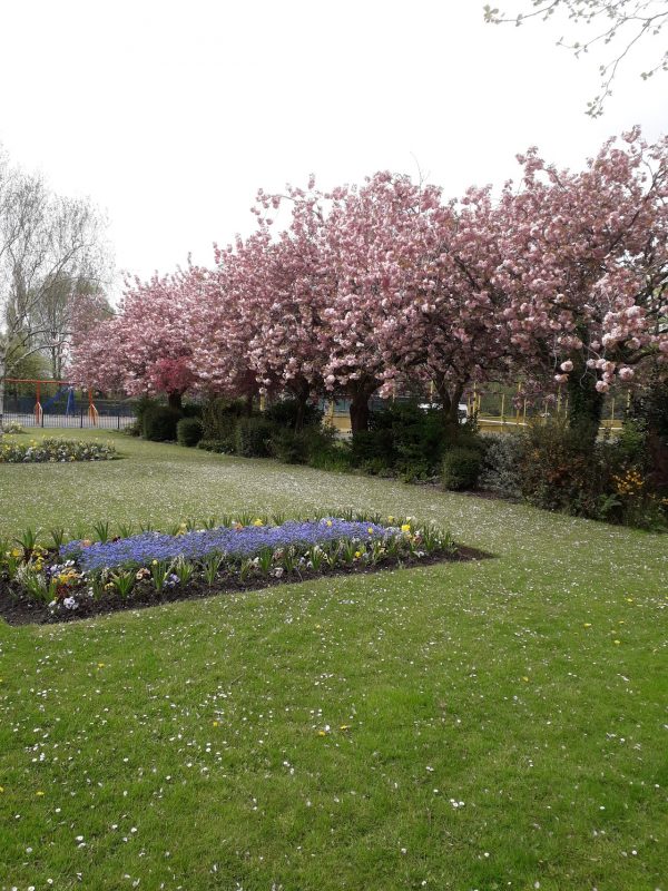 Hough Green Park