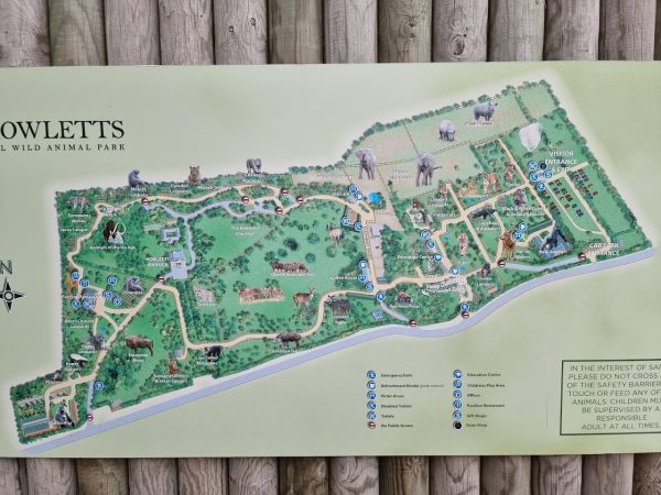 Howletts Wild Animal Park