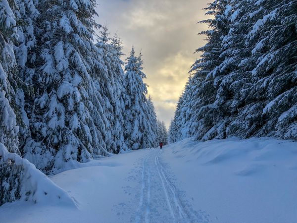 Huntly Nordic and Outdoor Centre