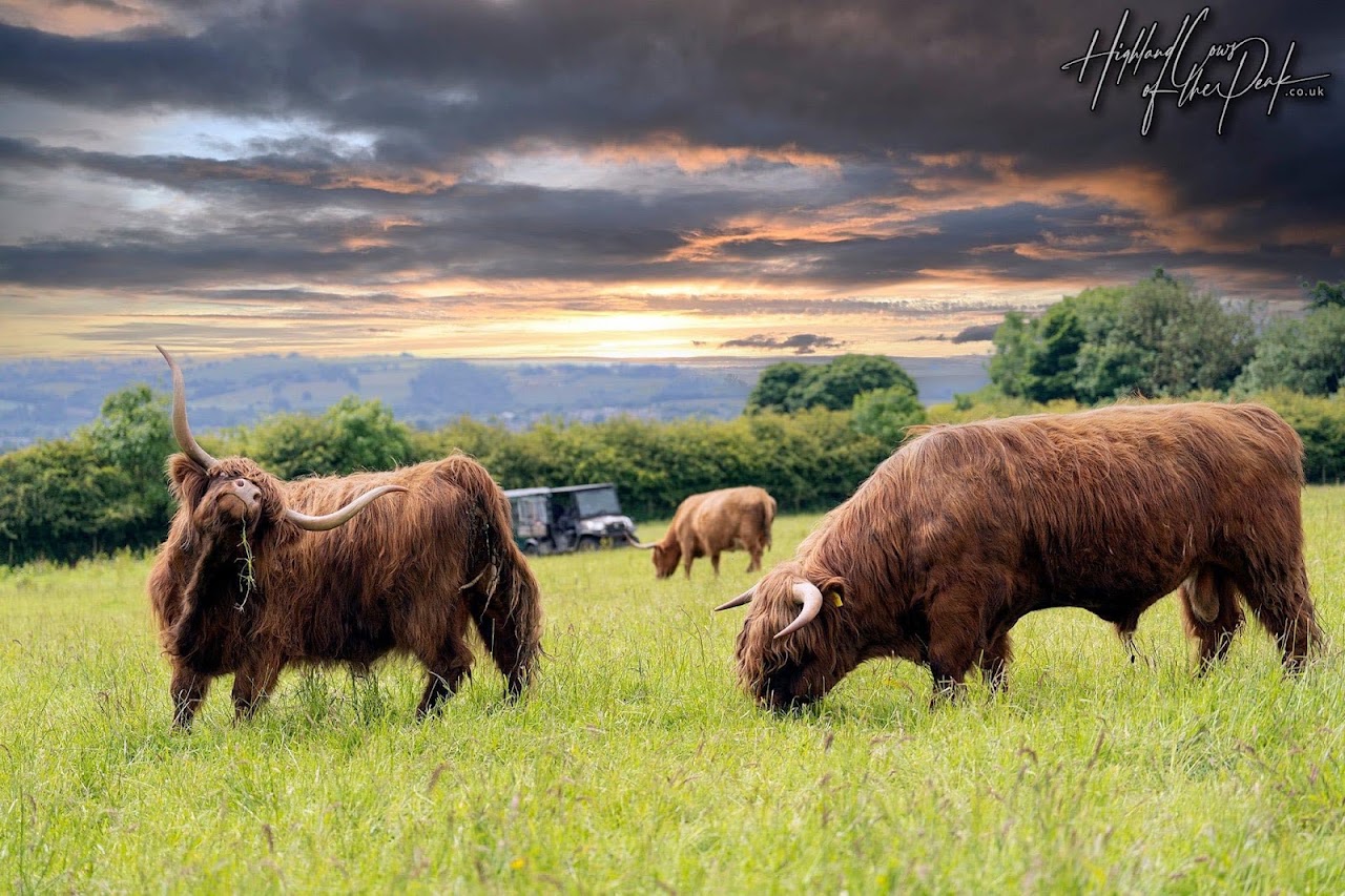Huruco Rare Breeds