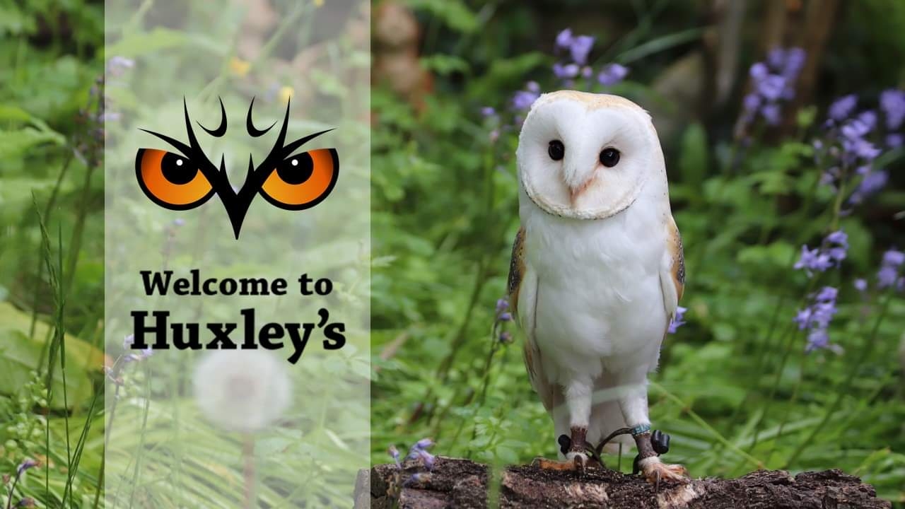 Huxleys Bird of Prey Centre